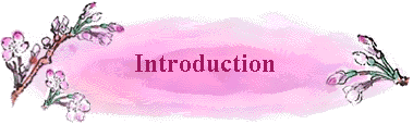 Introduction
