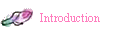 Introduction